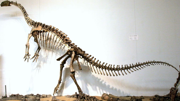 La cola de este dinosaurio era un arma letal: tenía la fuerza de 174 boxeadores