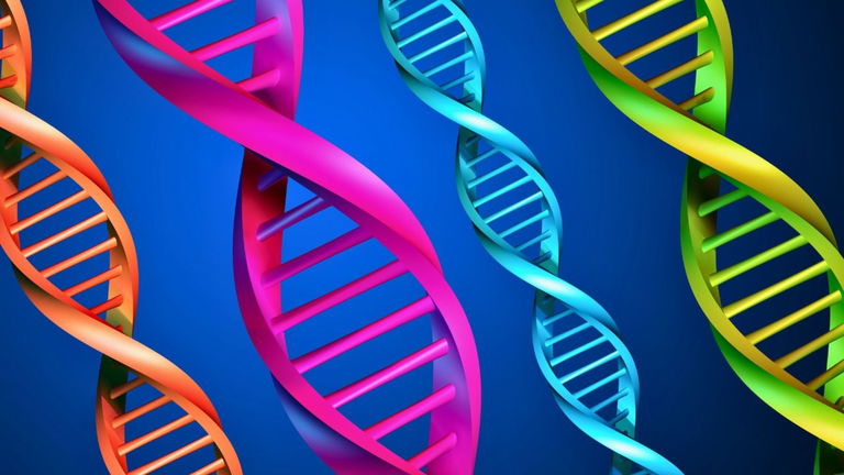 Google acaba de enseñar el poder de su nueva IA: es capaz de analizar nuestro ADN