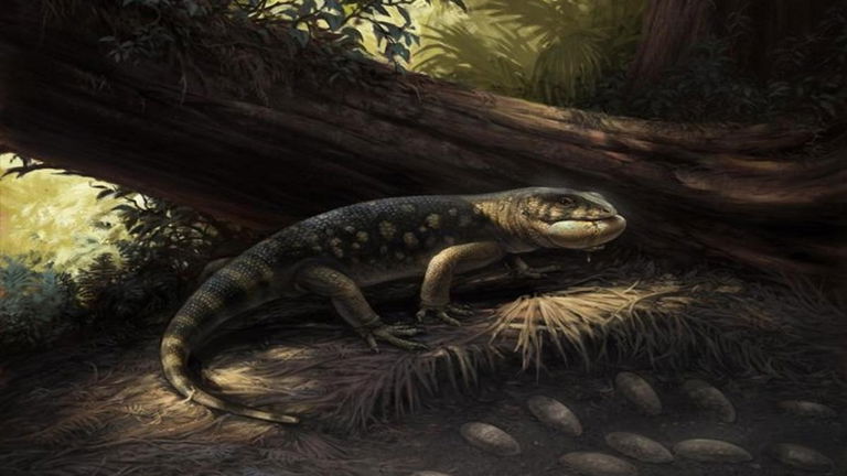 Han sacado su nombre de un libro de Tolkien, pero este lagarto era un pequeño gran depredador de la época de los dinosaurios