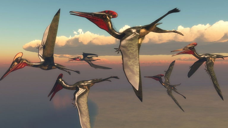 Encuentran en Japón los restos de un nuevo reptil volador: era un pequeño gigante de los cielos