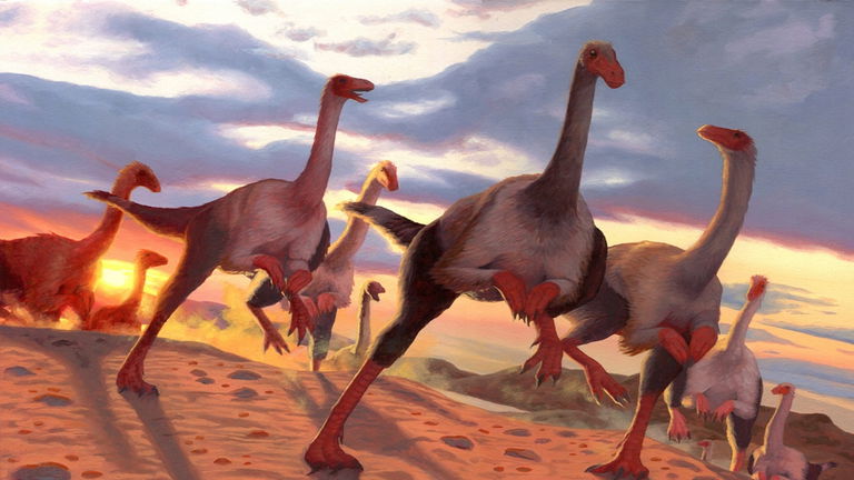 Los paleontólogos encuentran una enorme "pista de baile" para dinosaurios y todo tiene una explicación