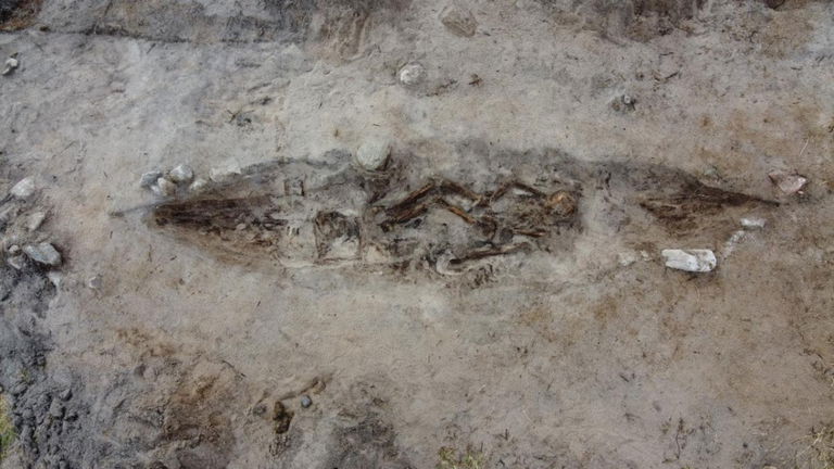 Una tumba de hace 1.000 años nos cuenta una historia de lealtad eterna entre una dama vikinga y el perro que la acompañó al más allá