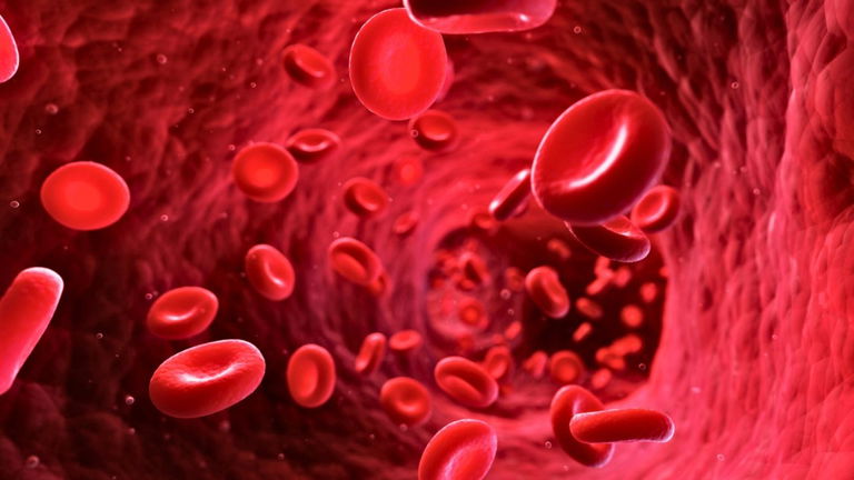 Se acabaron las incompatibilidades de sangre: han desarrollado una artificial que podría servir para cualquier grupo sanguíneo