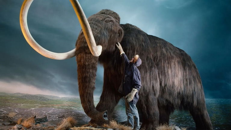 Tiene más de 40.000 años y está hecho con colmillo de mamut. Este bumerán prehistórico deja boquiabiertos a los expertos