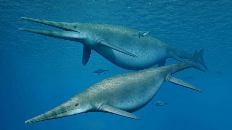 Se encuentra el primer fósil de ictiosaurio gigante preservado en tejidos blandos: tiene más de 180 millones de años