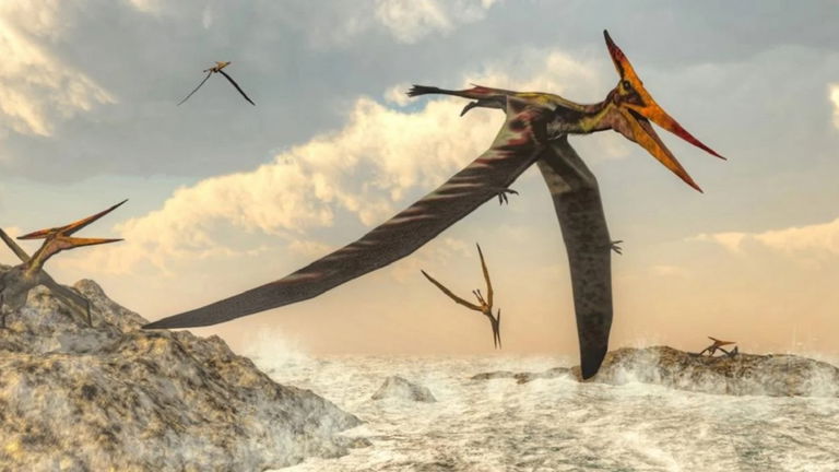 Encuentran el reptil volador más antiguo de América: tenía el tamaño de una gaviota moderna