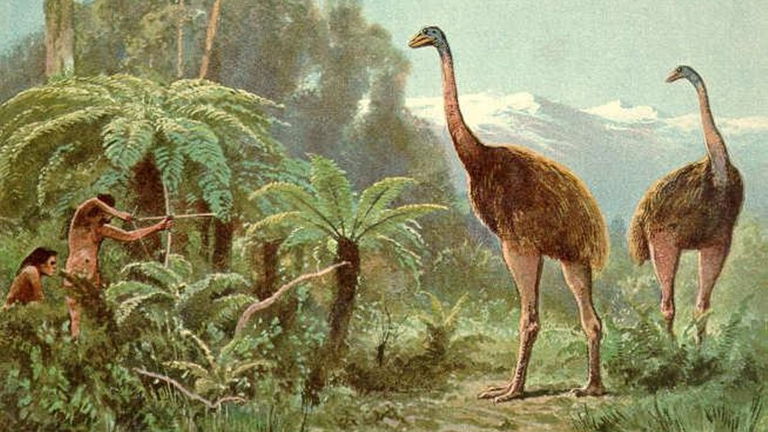 Nueva Zelanda podría convertirse en Jurassic Park: hay planes para traer de vuelta estas aves similares a dinosaurios