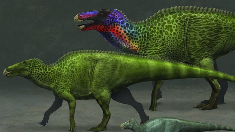 Un equipo de paleontólogos encuentra un dinosaurio en el sitio menos esperado: debajo de una carretera