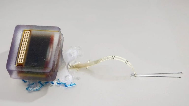 Este innovador implante es una revolución para las lesiones medulares: podría restaurar la movilidad
