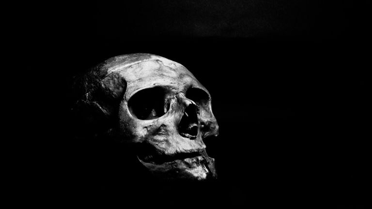 Este antiguo cráneo es una reliquia de la humanidad: es la mezcla de dos antiguas especies humanas