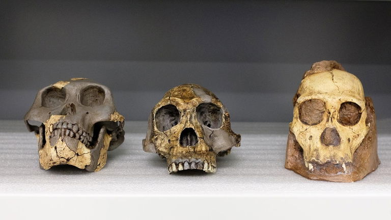 Un fósil de hace 140.000 años cambia todo lo que sabíamos de los neandertales