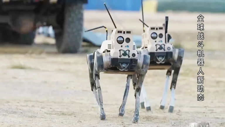 China soltará "lobos" para enfrentarse a Taiwán: estos perros robots serán la punta de lanza de los asalto