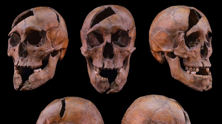 Un misterio de hace 700 años acaba de ser resuelto: ya sabemos quién fue el asesino de este joven duque