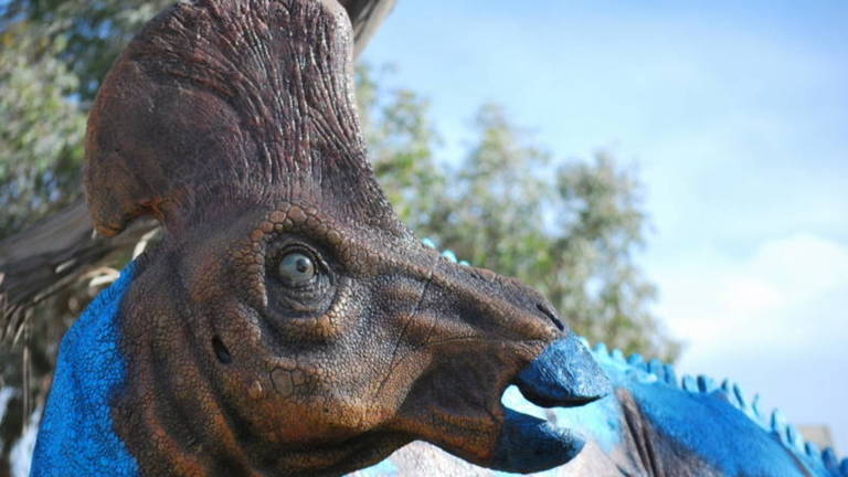 Hemos encontrado huesos rotos de dinosaurio y ahora sabemos más sobre cómo tenían sexo