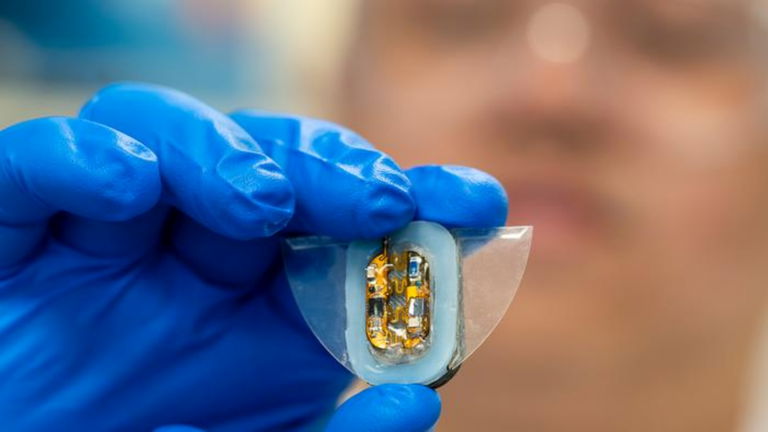 Es blando, se parece a una mantarraya y es un robot: este dispositivo solo necesita campos magnéticos para moverse