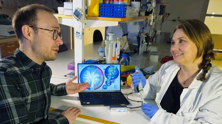 Parecían viejos filtros de aire, pero contenían una historia alucinante del ADN a nivel microscópico