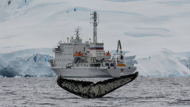 Malas noticias en el Ártico: un sumergible ruso ha encontrado un cementerio nuclear desconocido