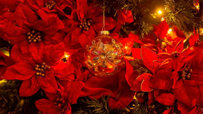 Si creías que la Nochebuena se celebra el día 24 de diciembre, la fecha de este país norteamericano te sorprenderá