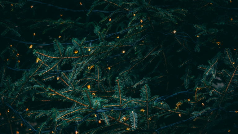 Este 2025 los famosos apuestan por los árboles de Navidad casi desnudos ¿qué son?