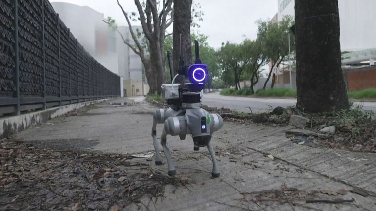 Las evaluaciones ambientales quedan a cargo de estos nuevos perros robots. Llevan láseres y están impulsados por IA