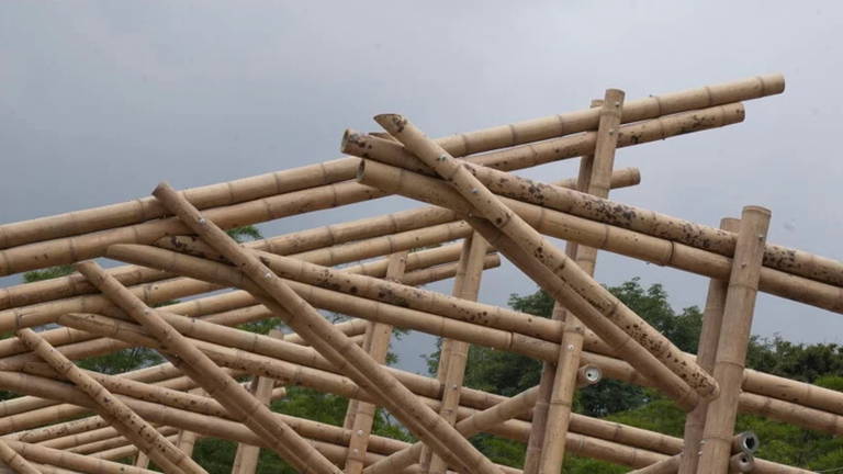 Construir con bambú podría ponerse de moda: flexible, duradero y con bajas emisiones de carbono