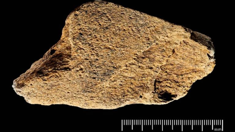 Tiene 500.000 años, es un martillo y nos ha dado datos increíbles sobre nuestros antepasados: eran más listos de lo que pensábamos