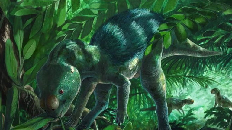 Los dinosaurios en miniatura existieron y estos fósiles de hace 70 millones de años son la prueba final