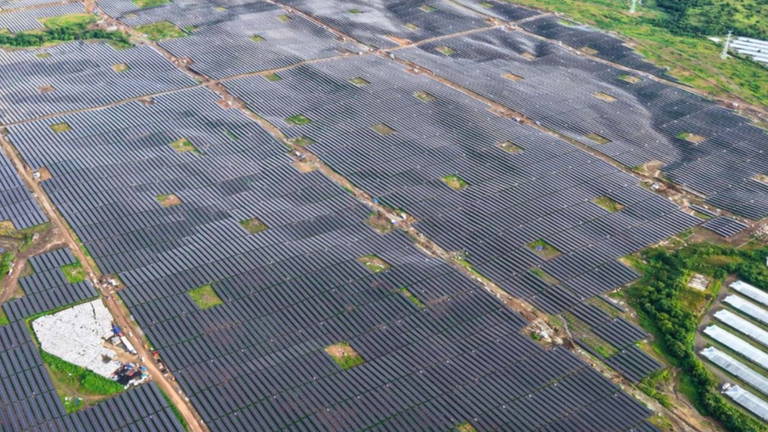 El mayor sitio del mundo en producir energía solar tiene buenas noticias para el planeta