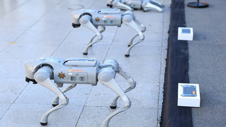 Los perros robot se incorporan a la policía mexicana: la alerta temprana será su sello de identidad