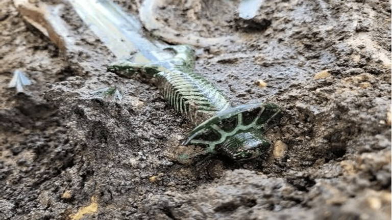 Tiene más de 3.000 años de antigüedad y acaba de sorprender a los científicos por su complejidad