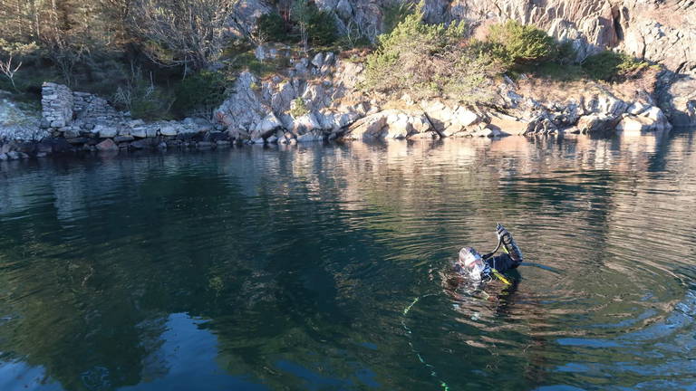 En la Noruega medieval cazaban ballenas y ahora ya saben cómo lo hacían: han encontrado esta trampa