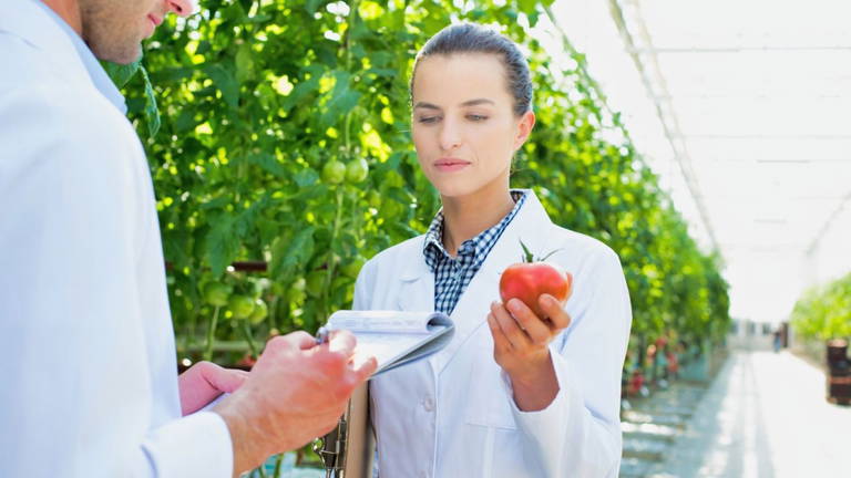 Jardín en Marte: Científicos cultivan plantas comestibles utilizando fertilizante hecho con polvo marciano
