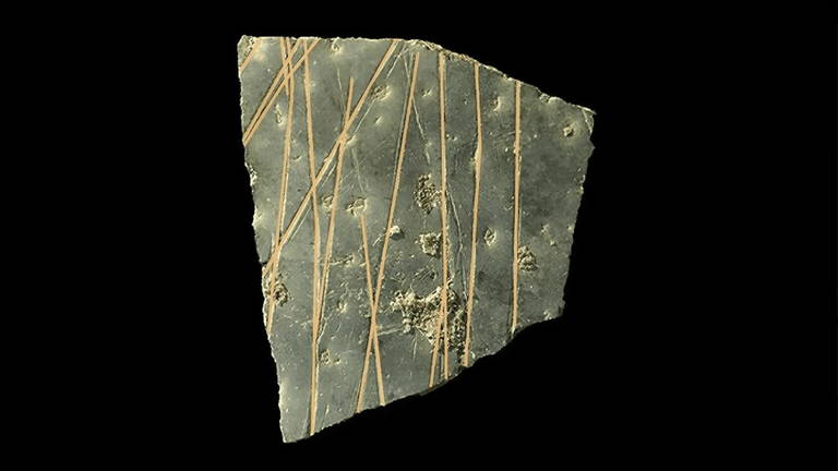 Marcas de 60.000 años de antigüedad en cáscaras de huevos de avestruz revelan un secreto bien guardado