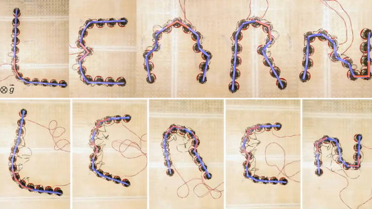 Los nuevos metamateriales aprenden formas, adaptan su comportamiento y se mueven como sistemas vivos