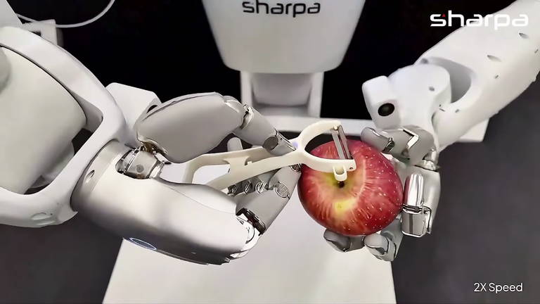 Una nueva tecnología robótica permite a las máquinas pelar, cortar y manipular objetos irregulares