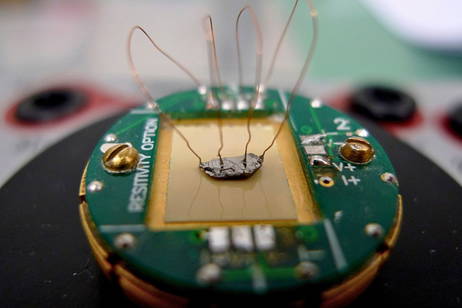 Un laboratorio estadounidense desvela los secretos de los superconductores que garantizan que no se pierda energía