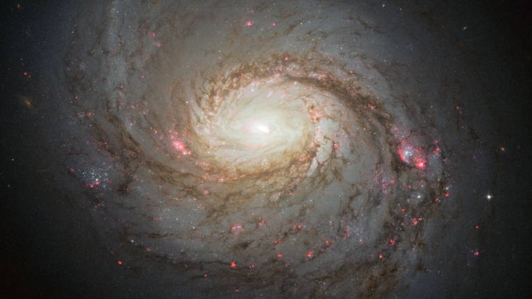 El telescopio James Webb de la NASA revela el brillante corazón de la galaxia espiral Messier 77